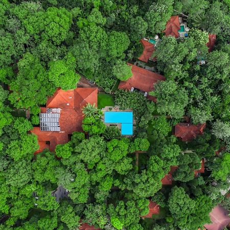 Greenwoods Resort, Thekkady Exteriér fotografie