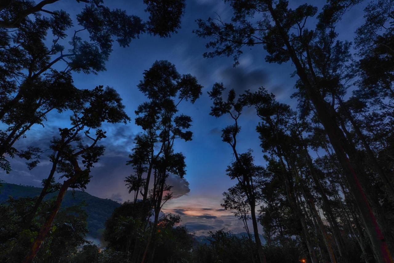 Greenwoods Resort, Thekkady Exteriér fotografie